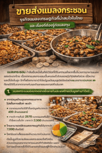 ขายส่งแมลงกระชอน
